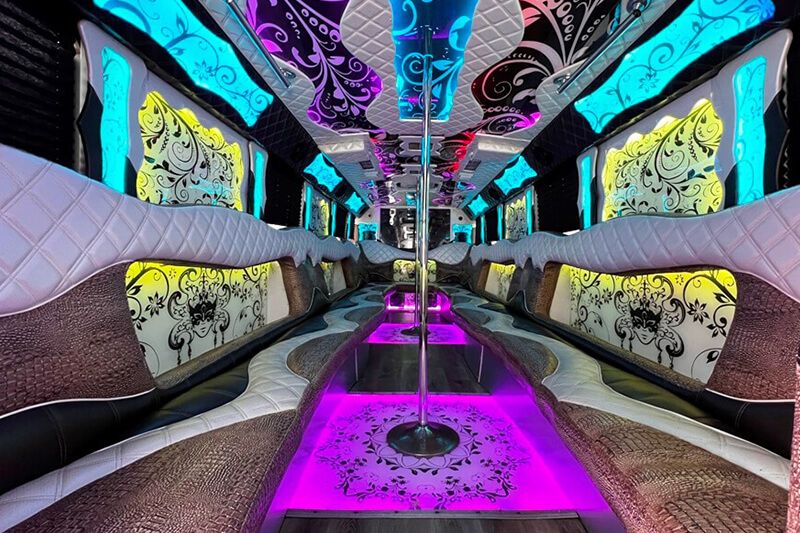 Chicago IL party bus rental