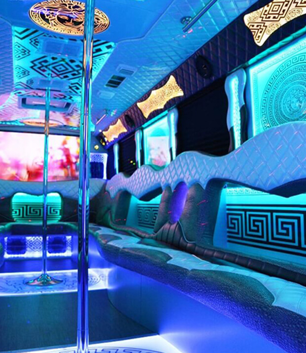 Party bus rental in Chicago